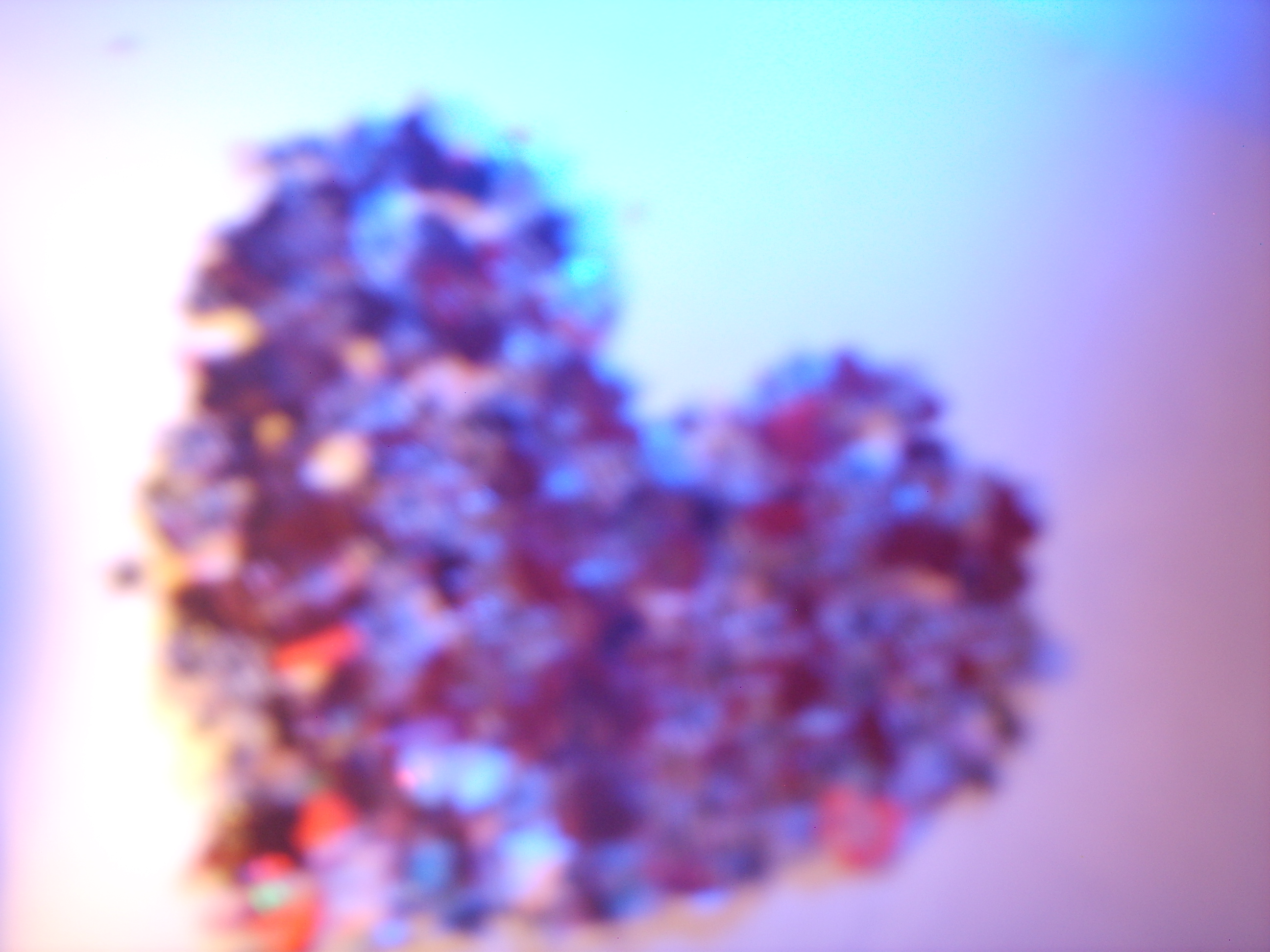 SSM10041.JPG